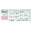 画像4: 送料無料　[ブロッコリー]　サマードーム　コート5000粒　(株)サカタのタネ (4)