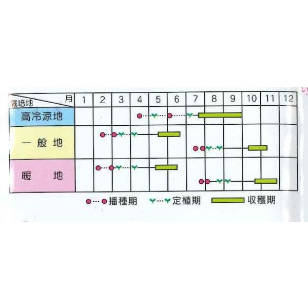 画像5: 送料無料 [ブロッコリー] サマードーム コート5000粒 (株)サカタのタネ (5)