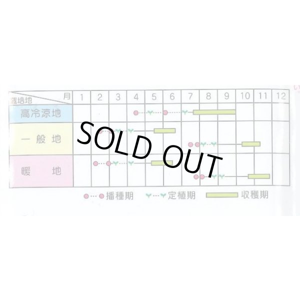 画像5: 送料無料 [ブロッコリー] サマードーム 2000粒 (株)サカタのタネ (5)