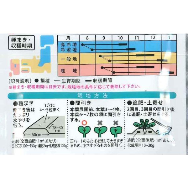 画像3: [大根] あじまるみ8ml （株）大和農園 (3)