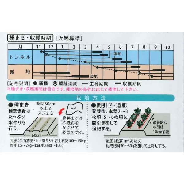 画像2: [人参] 黒田系五寸[人参] Ｆ1紅赤五寸 3ml （株）大和農園 (2)