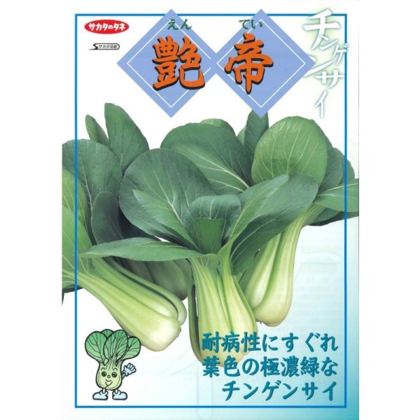 画像2: 送料無料　[中国野菜]　チンゲンサイ　艶帝　20ml　(株)サカタのタネ (2)