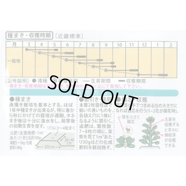 画像2: 送料無料　新芯菜　5ml(およそ900粒)　（株）大和農園 (2)