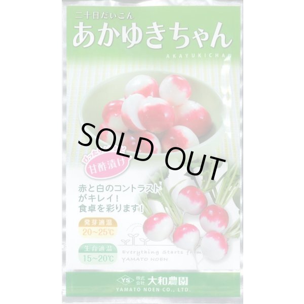 画像1: 送料無料　[大根]　はつかだいこん　あかゆきちゃん　5ml　大和農園 (1)