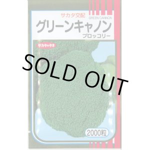 画像: [ブロッコリー]　グリーンキャノン　2000粒　サカタ交配　