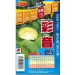 画像1: 送料無料　[キャベツ]　彩音　150粒　ペレット種子　タキイ種苗(株) (1)
