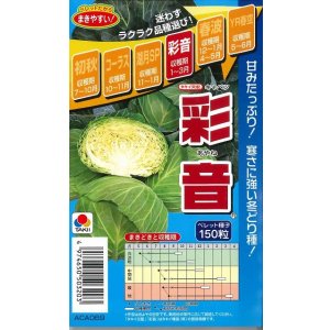 画像: 送料無料　[キャベツ]　彩音　150粒　ペレット種子　タキイ種苗(株)