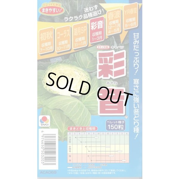 画像1: 送料無料　[キャベツ]　彩音　150粒　ペレット種子　タキイ種苗(株) (1)