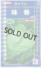 画像: 送料無料　キャベツ　味春　2000粒　タキイ種苗(株)