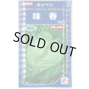 画像: 送料無料　キャベツ　味春　2000粒　タキイ種苗(株)
