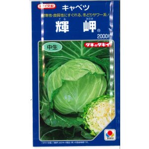 画像: 送料無料　[キャベツ]　輝岬　2000粒　タキイ種苗(株)