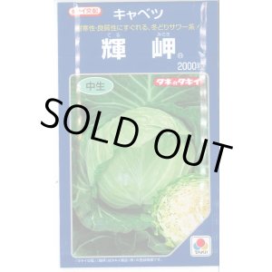 画像: 送料無料　[キャベツ]　輝岬　2000粒　タキイ種苗(株)