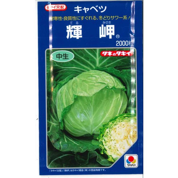 画像1: 送料無料　[キャベツ]　輝岬　2000粒　タキイ種苗(株) (1)