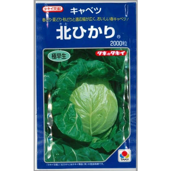 画像1: 送料無料　[キャベツ]　北ひかり　2000粒　タキイ種苗(株) (1)
