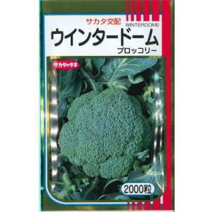 画像: 送料無料　[ブロッコリー]　ウインタードーム　2000粒　(株)サカタのタネ