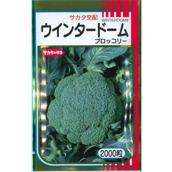 画像1: [ブロッコリー] ウインタードーム 2000粒 (株)サカタのタネ (1)
