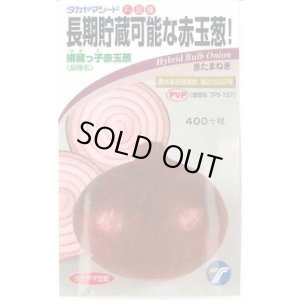 画像1: 送料無料　[たまねぎ]　緋蔵っ子赤玉葱　3ml（約280）　(株)タカヤマシード (1)