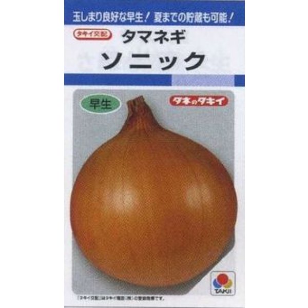 送料無料 [たまねぎ] ソニック 4.5ml(約420粒) タキイ種苗(株