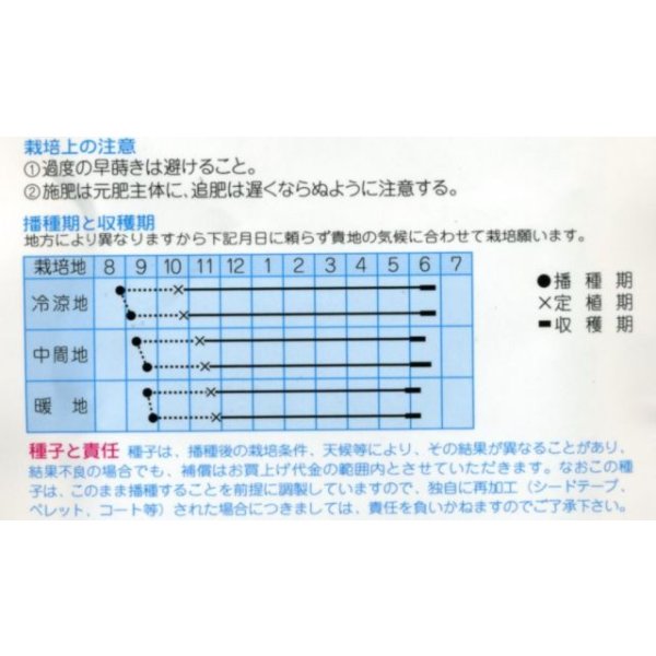 画像2: 送料無料　[たまねぎ]　天寿玉葱　4ml（約640粒）　(株)タカヤマシード (2)