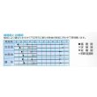 画像2: 送料無料　[たまねぎ]　緋蔵っ子赤玉葱　3ml（約280）　(株)タカヤマシード (2)