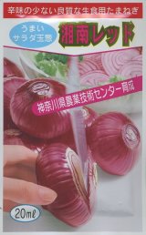 画像: 送料無料　[たまねぎ]　湘南レッド　6ml　(株)サカタのタネ