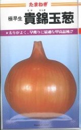 画像: 送料無料　[たまねぎ]　貴錦　20ml　カネコ種苗（株）