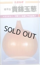 画像: 送料無料　[たまねぎ]　貴錦　20ml　カネコ種苗（株）