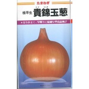 画像: 送料無料　[たまねぎ]　貴錦　20ml　カネコ種苗（株）