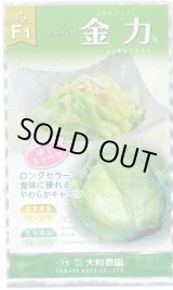 画像: 送料無料　[キャベツ]　金力甘藍　1ml　(株)大和農園