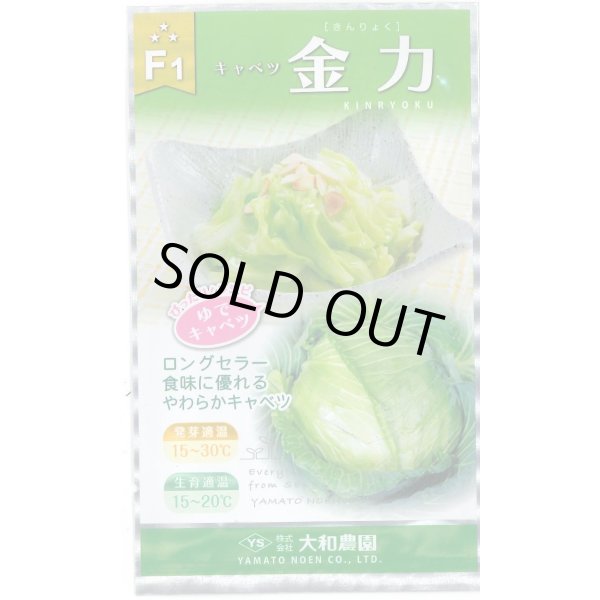 画像1: 送料無料　[キャベツ]　金力甘藍　1ml　(株)大和農園 (1)