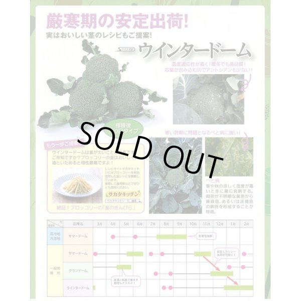 画像4: 送料無料　[ブロッコリー]　ウインタードーム　ペレット120粒　(株)サカタのタネ（実咲003177） (4)