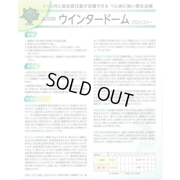 画像3: 送料無料　[ブロッコリー]　ウインタードーム　ペレット120粒　(株)サカタのタネ（実咲003177） (3)