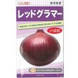 画像1: 送料無料　[たまねぎ]　レッドグラマー　2.5ml　カネコ種苗（株） (1)