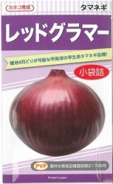 画像: 送料無料　[たまねぎ]　レッドグラマー（PVP)　　2.5ml　カネコ種苗（株）