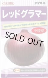 画像: 送料無料　[たまねぎ]　レッドグラマー　　2.5ml　カネコ種苗（株）