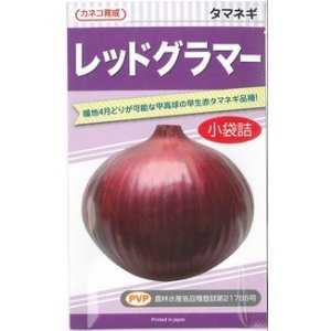 画像: 送料無料　[たまねぎ]　レッドグラマー（PVP)　　2.5ml　カネコ種苗（株）