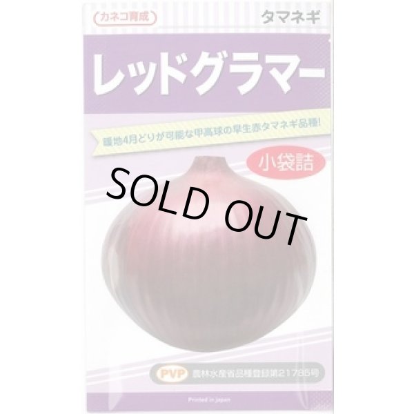 画像1: 送料無料　[たまねぎ]　レッドグラマー　2.5ml　カネコ種苗（株） (1)