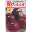 画像1: [たまねぎ]　赤玉葱　フレッシュレッド　4ml　松永種苗（株） (1)