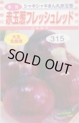 画像: 送料無料　[たまねぎ]　赤玉葱　フレッシュレッド　4ml　松永種苗(株)