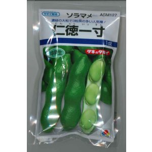 画像: 送料無料　[そら豆]　仁徳一寸　1dl(およそ29粒)　タキイ種苗