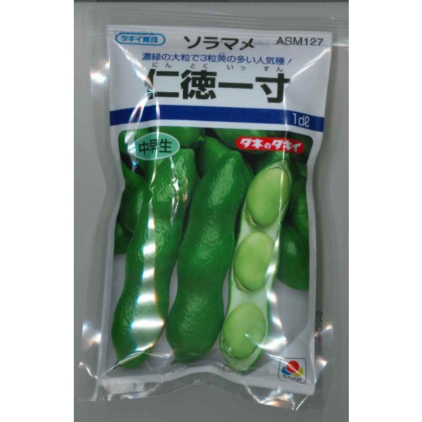 そら豆 送料無料 [そら豆] 仁徳一寸 1dl(およそ29粒) タキイ種苗(野菜種