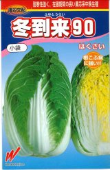 画像: [白菜] 冬到来90 0.7ml 渡辺農事（株）