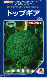 画像: 送料無料　[ブロッコリー]　トップギア　20ml　貴種(コートしてません)　タキイ種苗(株)
