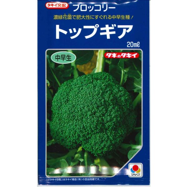 画像1: 送料無料 [ブロッコリー] トップギア 20ml 貴種(コートしてません) タキイ種苗(株) (1)