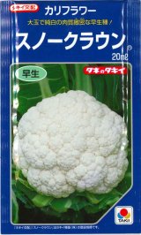 画像: 送料無料　[カリフラワー]　スノークラウン　20ml　タキイ種苗(株)
