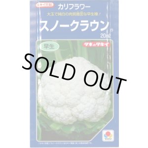 画像: 送料無料　[カリフラワー]　スノークラウン　20ml　タキイ種苗(株)
