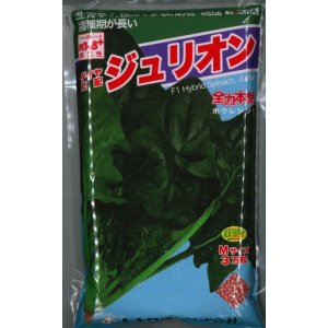 画像: [ほうれんそう]　ジュリオン　3万粒（種子サイズ：Ｍ）　トキタ種苗(株)