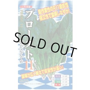 画像: 野菜種　ほうれんそう　プロースト11　20ml（約900粒）　ナント種苗（株）