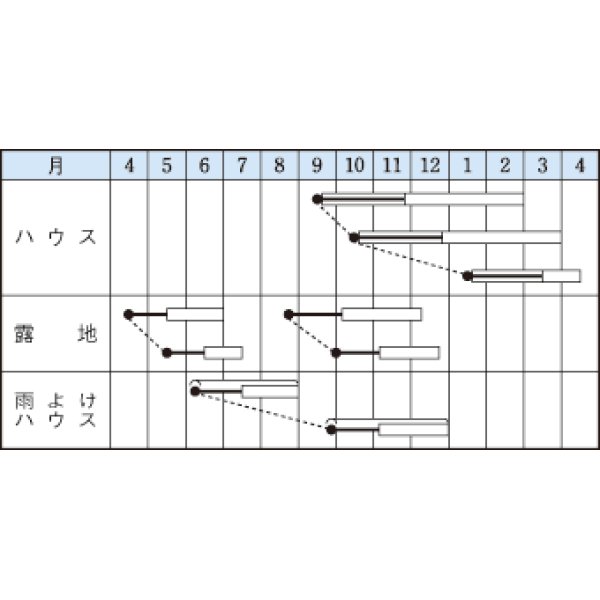 画像2: [葉物]　摘みとりシュンギク　きわめ中葉春菊　1Ｌ　タキイ種苗 (2)