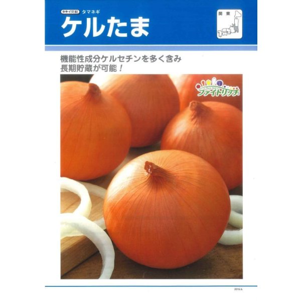 画像3: 送料無料　[たまねぎ]ケルたま2dl（ およそ27,800粒）タキイ種苗(株) (3)
